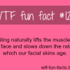 smiling facts