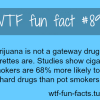 smoking facts