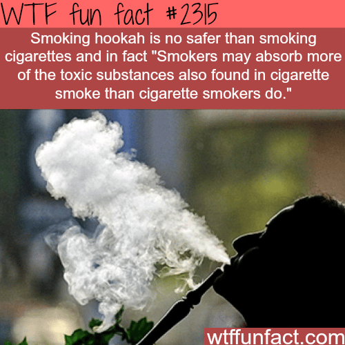 Smoking hookah VS cigarettes health risks - WTF fun facts