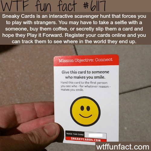 Sneaky Cards- WTF fun facts