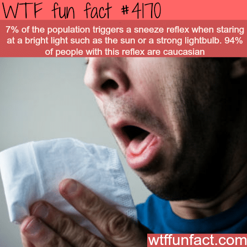 Sneeze reflex when staring at the sun -  WTF fun facts