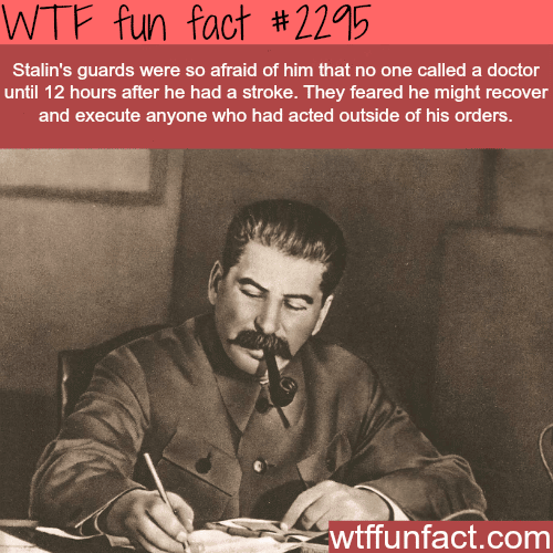 Some facts about Joseph Stalin - WTF fun facts