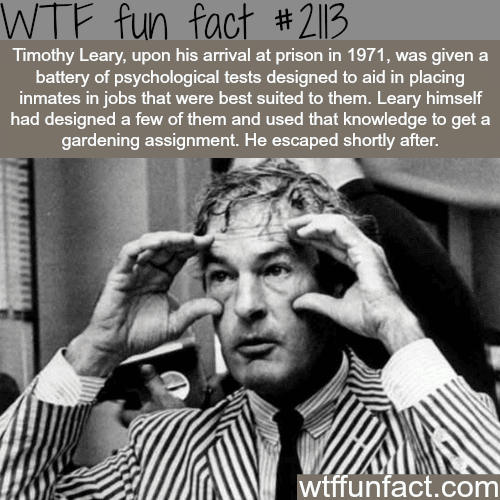 Some facts about Timothy Leary - WTF fun facts