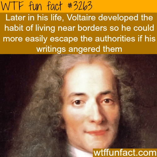 Some facts about Voltaire -  WTF fun facts