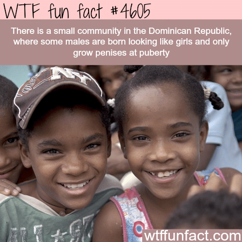 (SOURCE) Male babies that only grow penis after puberty -   WTF fun facts