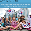 south koreans vs north koreans wtf fun fact