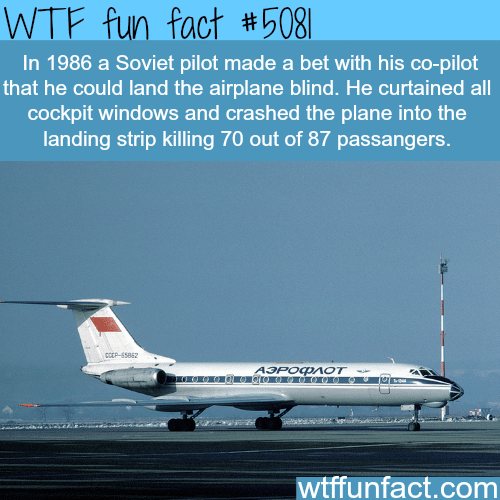 Soviet pilot crashes a plane because of a bet - WTF fun facts
