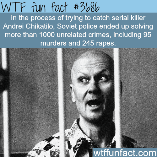 Soviet Police solved 1000 crimes while trying to catch a killer -  WTF fun facts
