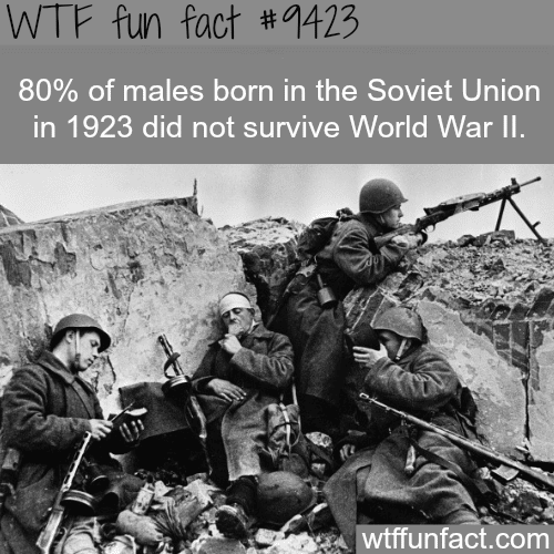 Soviet Union in WW2 - WTF fun fact