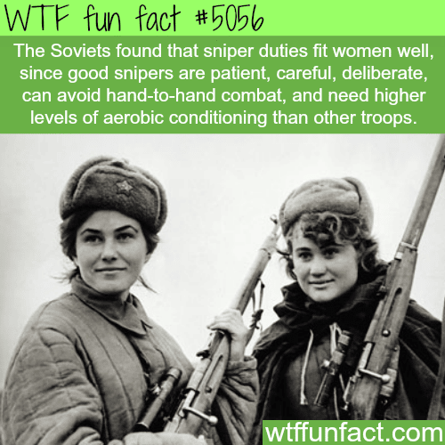 Soviet women snipers - WTF fun facts
