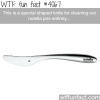 special knife for nutella jars only wtf fun