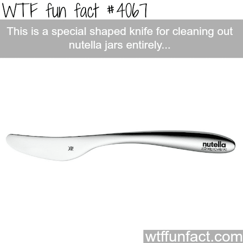 Special knife for nutella jars only - WTF fun facts
