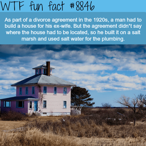 Spite houses - WTF fun facts