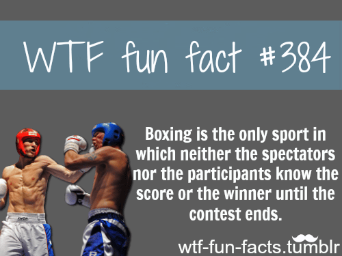 sports facts