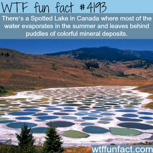 Spotted Lake in Canada -  WTF fun facts