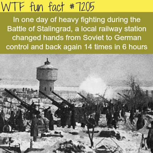 Stalingrad battle - WTF Fun Fact