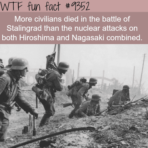 Stalingrad - WTF fun facts