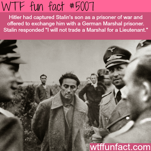Stalin’s son - WTF fun facts