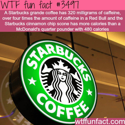 Starbucks -  WTF fun facts