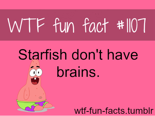 Starfish don’t have brains