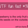 strawberry facts