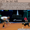 street dogs serve as ball boys during a tennis