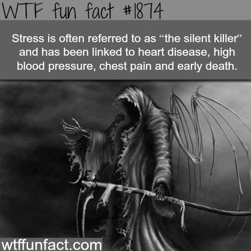 Stress “the silent killer” - WTF fun facts