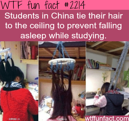 Students in China - WTF fun facts