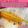 subways footlong wtf fun facts