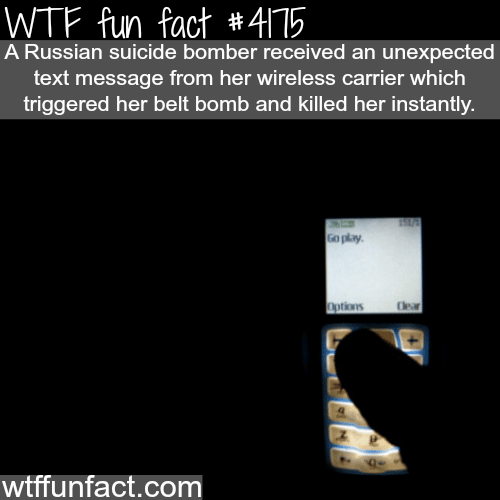 Suicide bomber -  WTF fun facts