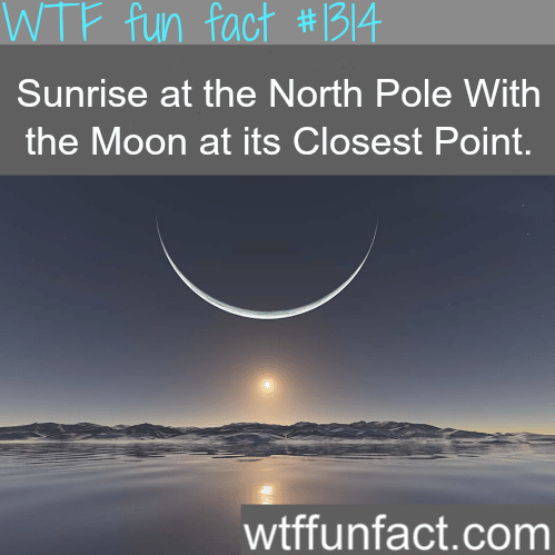 Sunrise at the North Pole With the Moon at its Closest Point