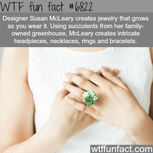 Susan McLeary’s living jewelry - WTF fun fact