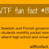 swedish and finnish government