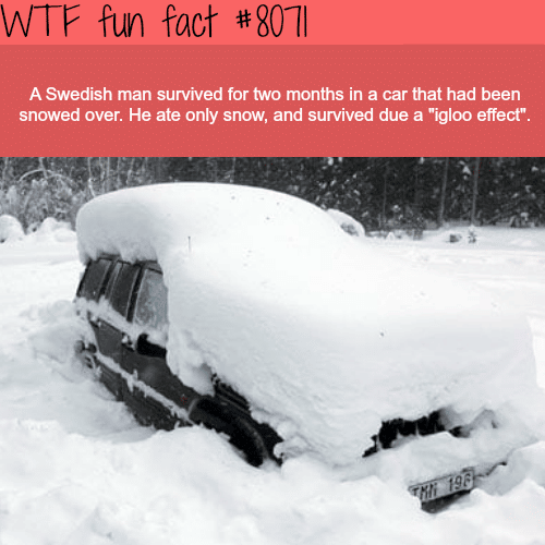 Swedish man survived in a car under the snow for two months - WTF facts