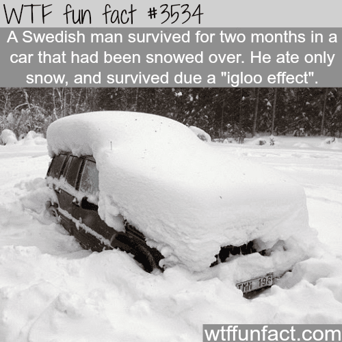 Swedish man survives for two months just by eating snow - WTF fun facts