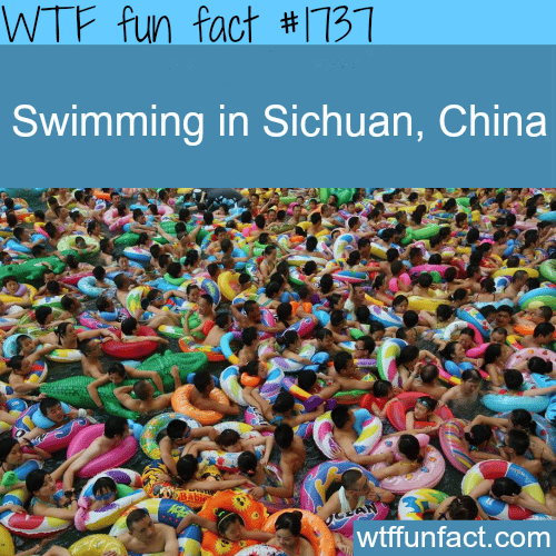  Swimming in Sichuan