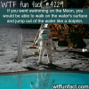 swimming on the moon wtf fun facts