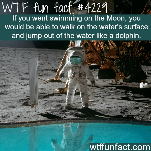 Swimming on the moon -  WTF fun facts
