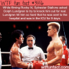 sylvester stallone got punched by dolph lundgren