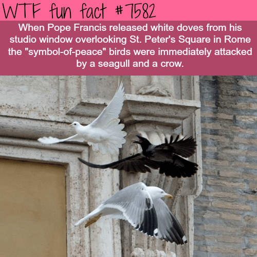 Symbol of peace - WTF fun facts