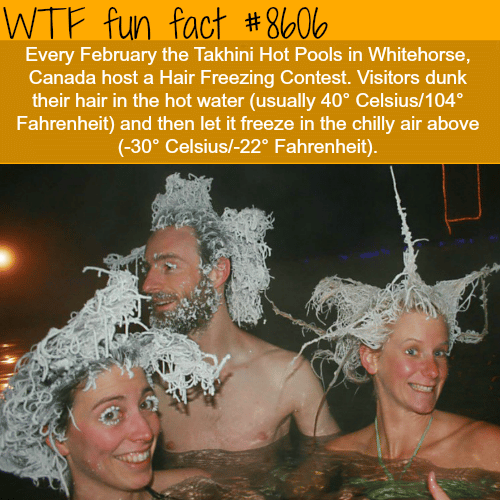 Takhini Hot Pools - WTF fun factss