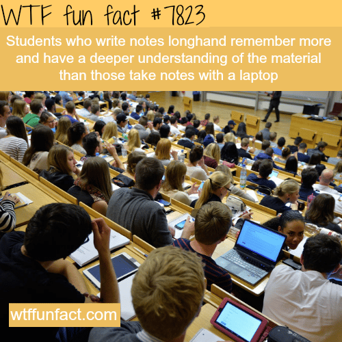 Taking notes with your laptop - WTF fun facts
