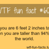 tallest person alive