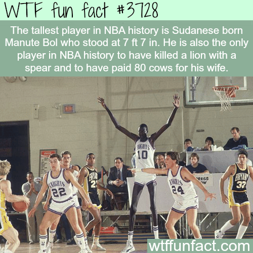 Tallest player in the history of NBA -  WTF fun facts