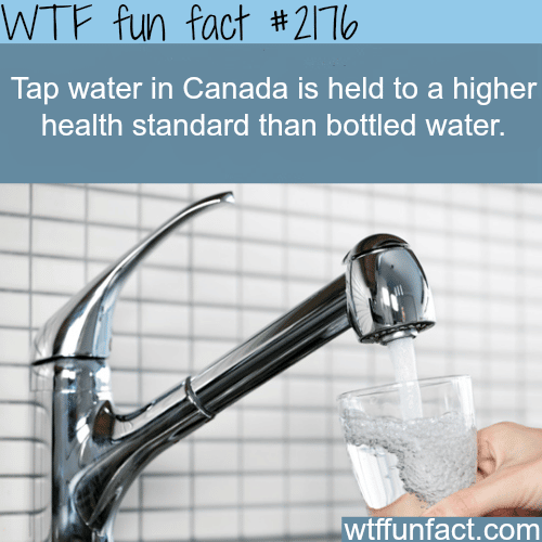 Tap water in Canada - WTF fun facts