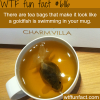tea bags that look like a fish wtf fun facts