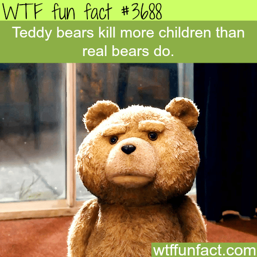 Teddy bears kill more children than real bears -  WTF fun facts
