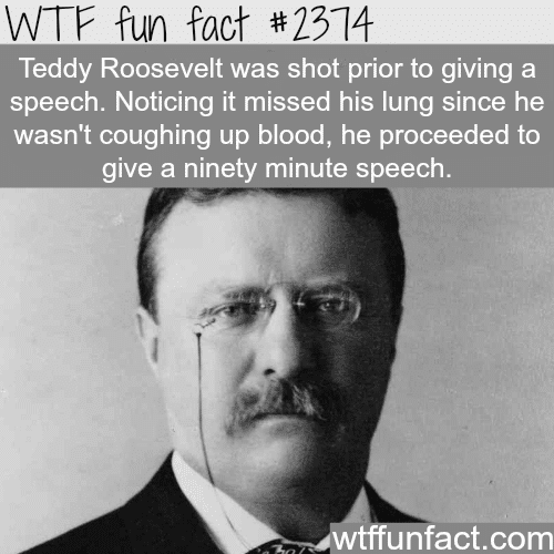 Teddy Roosvelt shot during a speech - WTF fun facts