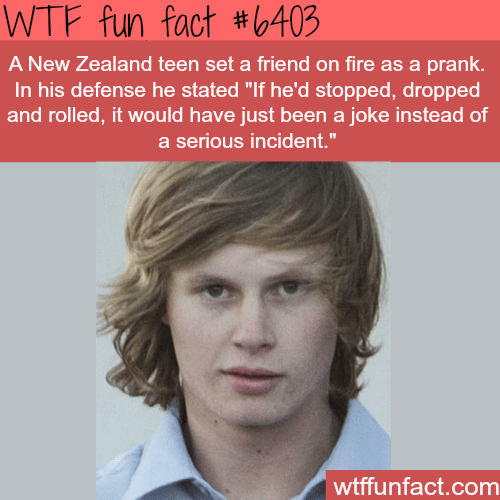 Teen sets a friend on fire - WTF fun facts