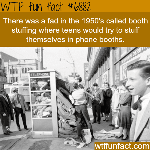 Telephone booth stuffing - WTF fun facts 
